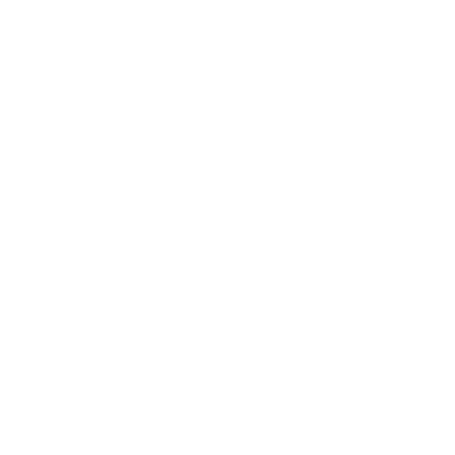 Street Mania Customs